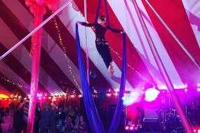 Bigtopmania Trapeze Artists Profile 1