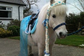 Rainbow Pony Parties NI Wedding Accessory Hire Profile 1