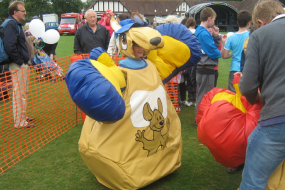 Boss Leisure Sumo Suit Hire Profile 1