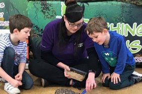 Teaching Talons (The Animal Ambassadors) Exhibition Stand Hire Profile 1