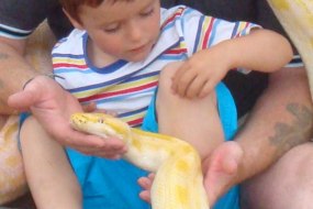 Exotic Pet Parties Educational Entertainers Profile 1