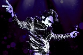 Andy's Elvis Tribute Tribute Acts Profile 1