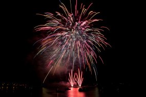 Selstar Fireworks Ltd Firework Suppliers Profile 1