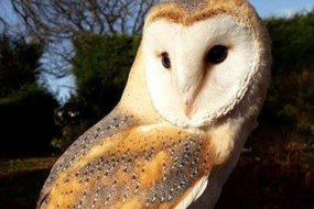 Nature’s Burrow Animal Encounters Exhibition Stand Hire Profile 1