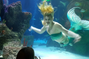 Hire A Mermaid UK Children's Party Entertainers Profile 1