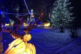 Longleat Festival of Light - Grotto