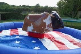 Rodeo Bull Wales Inflatable Nightclub Hire Profile 1