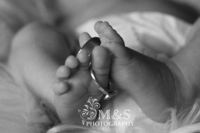 M&S Photography  Hire a Photographer Profile 1