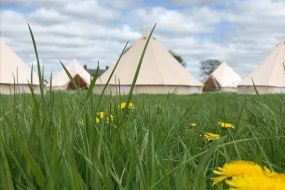 Summer Belles Tipi Hire Profile 1