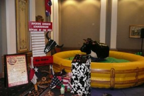 Rio Rodeo Bouncy Castle Hire Profile 1