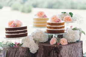 Spongetastic Cakes Sweet and Candy Cart Hire Profile 1
