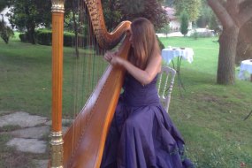 Zeino Harpist Hire Profile 1