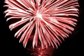 Fireworks Factory Ltd Firework Suppliers Profile 1