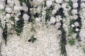 RumBa  Flower Wall Hire Profile 1