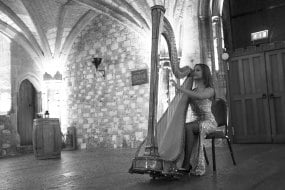 Music Students for Hire  Harpist Hire Profile 1