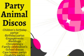 Partyanimal Discos Mobile Disco Hire Profile 1