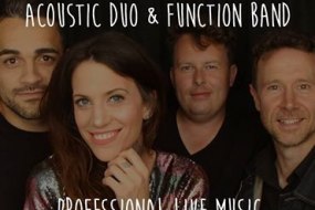 Monroe  Acoustic Band Hire Profile 1