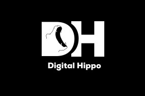 Digital Hippo Event Video Streaming Hire Profile 1