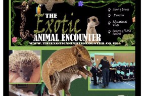 The Exotic Animal Encounter Educational Entertainers Profile 1