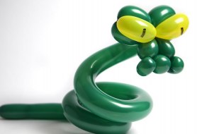 Poppin Philbert Balloon Modellers Profile 1