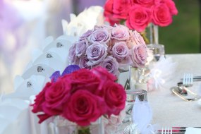 Events Line Wedding Planner Hire Profile 1