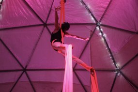 YardArts Aerialists for Hire Profile 1