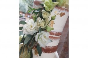 Arianne's Cake House Wedding Cakes Profile 1