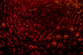 Crowds at a gig