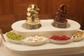 Quest Entertainment Service Ltd  Chocolate Fountain Hire Profile 1