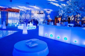 Bespoke Winter Wonderland Christmas Party