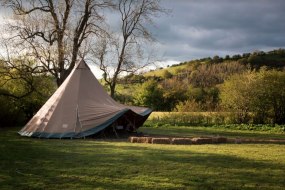 Mikata Tipi Hire Profile 1