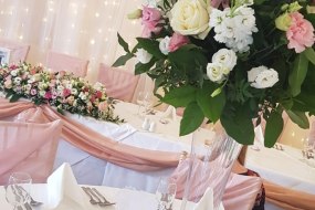 Butterflies and Bows Event Planners Profile 1