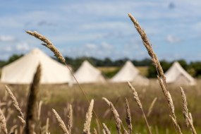 The Happy Glamper  Glamping Tent Hire Profile 1