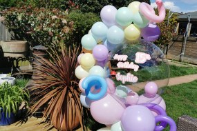 Domes and Dreams Ltd Balloon Decoration Hire Profile 1