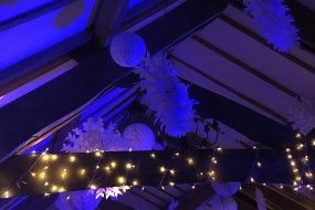 Richard Taylor Entertainments Disco Light Hire Profile 1