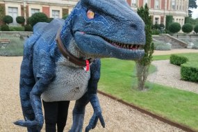 Dino Hire Ltd Children's Party Entertainers Profile 1