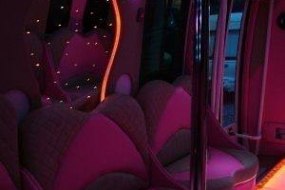 The Pink Party Bus  Party Bus Hire Profile 1