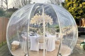 Wild Dreams Events  Igloo Dome Hire Profile 1