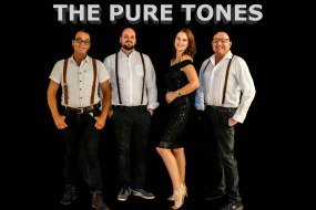 The PURE TONES Image.jpg