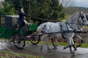 Outlaw Entertainments  Horse Drawn Carriages  Profile 1