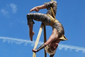 Cirq Delight Aerialists for Hire Profile 1