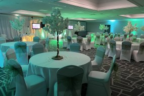 Tyne Events  Wedding Planner Hire Profile 1