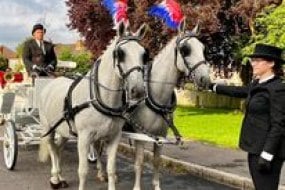 Mudds Bank Carriages  Horse Drawn Carriages  Profile 1