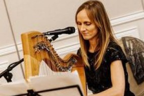 Amy McAllister Harpist & Singer Harpist Hire Profile 1