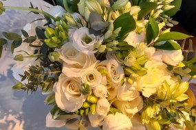 Becca Blooms Artificial Flowers and Silk Flower Arrangements Profile 1