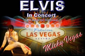 Micky Vegas as Elvis in Concert Pop Band Hire Profile 1