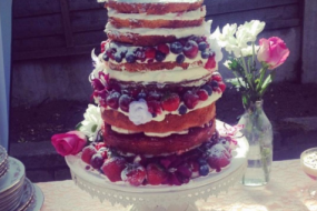 Scrumbtious Cakes & Bakes Wedding Cakes Profile 1