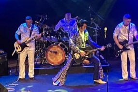 Steve Knight: Elvis Returns featuring The Midnight Rebels Function Band Hire Profile 1