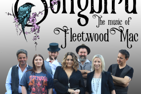 The Music of Fleetwood Mac Tribute - Songbird Tribute Acts Profile 1