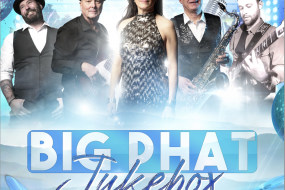 Big Phat Jukebox Wedding Band Hire Profile 1